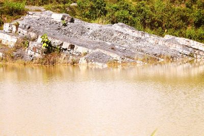 Scenic view of lake