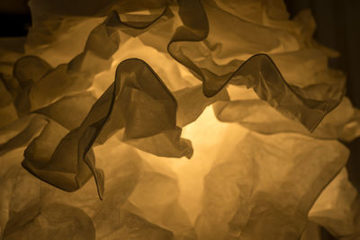 High angle view of dried leaves on bed