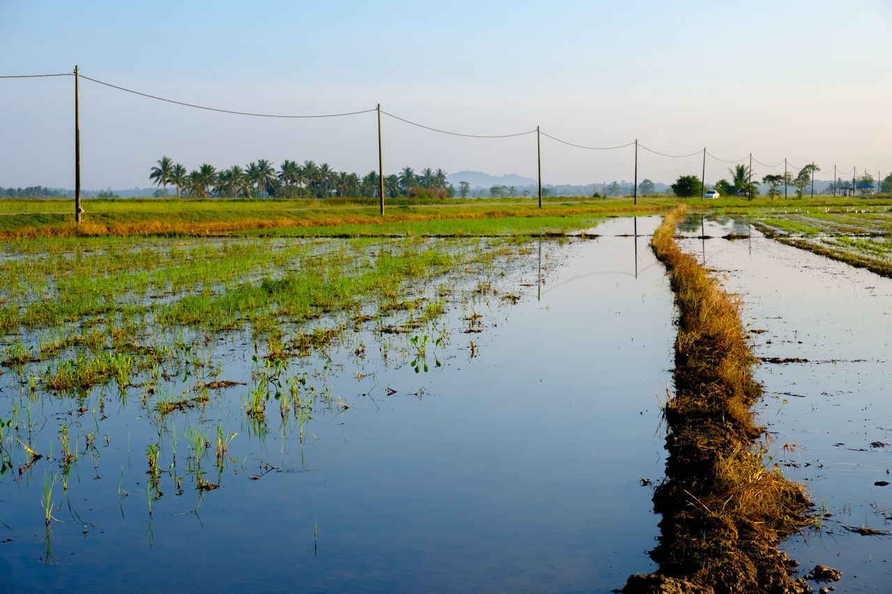 SCENIC VIEW OF FARMS AGAINST SKY