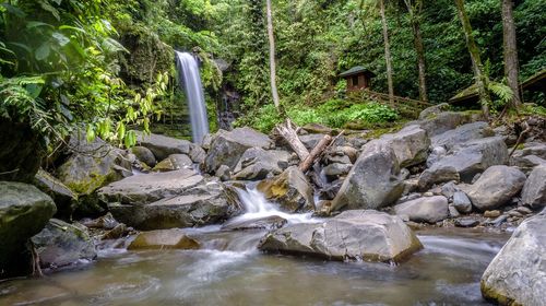 Stream flowing through rocks in forest