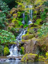 Scenic view of waterfall