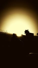 Silhouette of trees at sunset