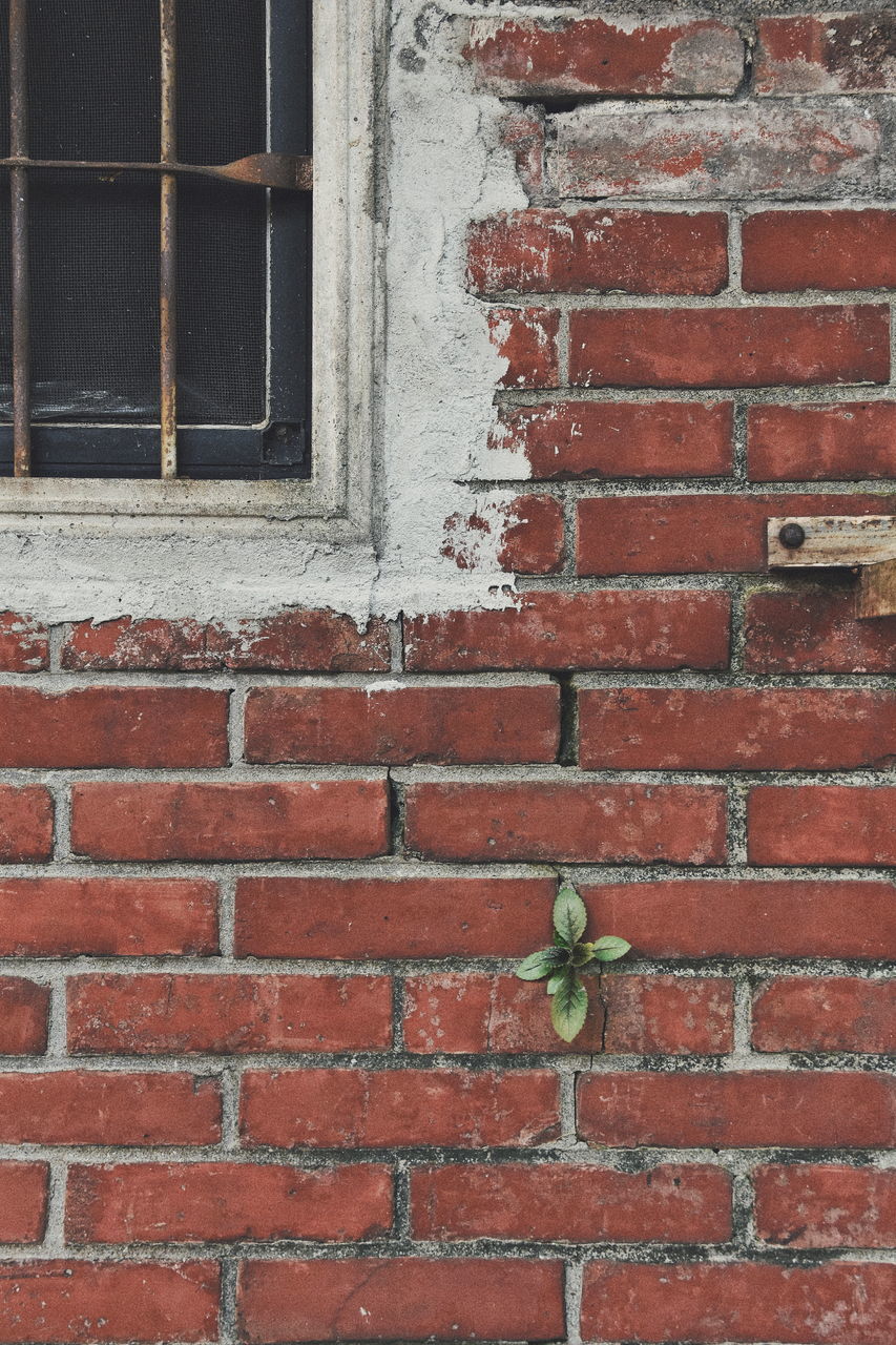 window, brick wall, red, architecture, no people, full frame, day, outdoors