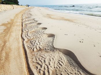 Scenic view of beach