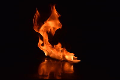 Close-up of bonfire against black background