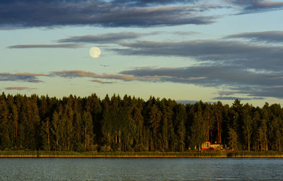 Scenic view of lake and trees against sky
