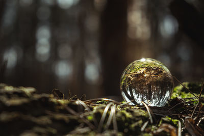 Close-up of crystal ball on field