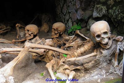 Low angle view of human skull