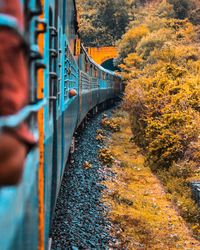 Train by trees during autumn