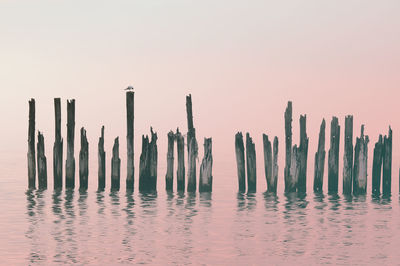 Wooden posts in sea against clear sky at dusk