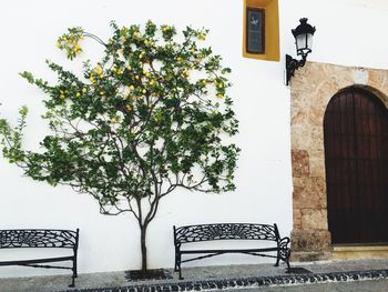 Built structure with trees in background