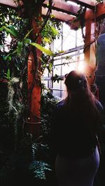 Woman standing on tree trunk