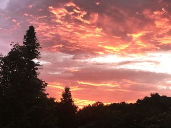 Low angle view of silhouette trees against sky during sunset