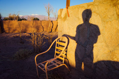 Rear view of man shadow on field