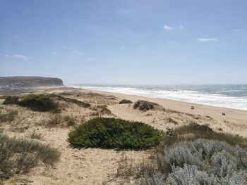 Scenic view of beach against sky