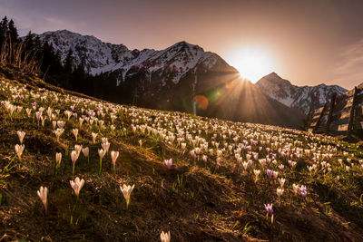 Scenic view of mountains against sky during sunset