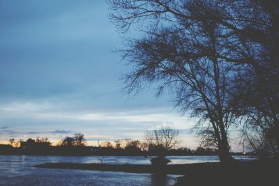 Scenic view of bare trees against sky