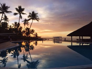 Palm trees at sunset