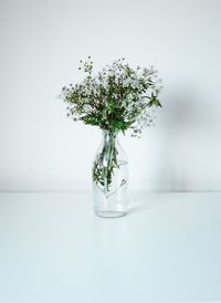 Close-up of flower vase on table against white background