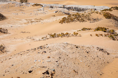 High angle view of footprints on sand at beach