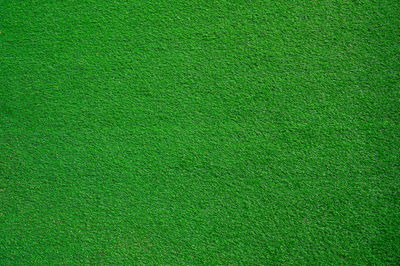 Full frame shot of green grass