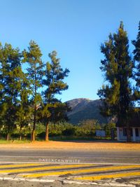 Road amidst trees against clear blue sky