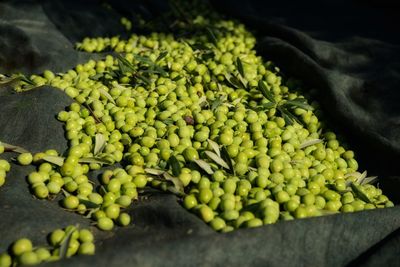 High angle view of olives