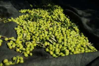 High angle view of vegetables