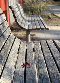 High angle view of bench in park