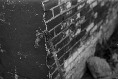 Close-up of insect on wall