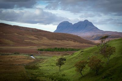 Scenic view of landscape against sky