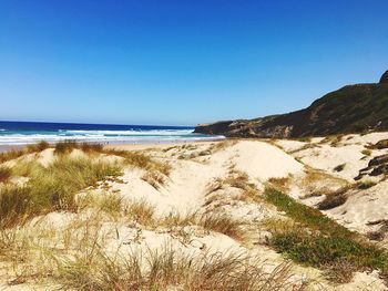 Scenic view of sandy beach