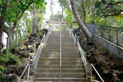 View of staircase in forest