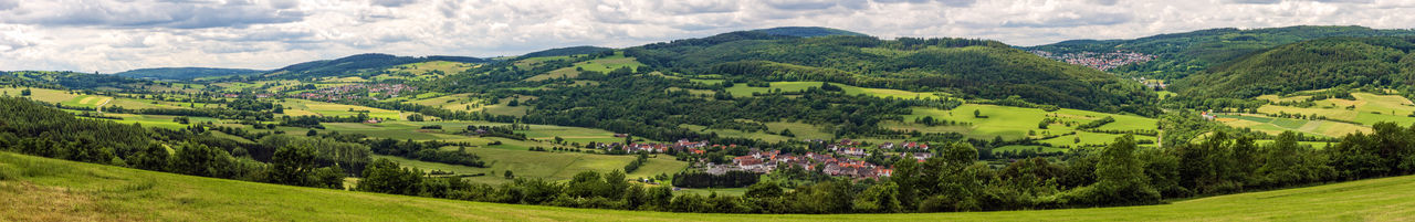 Panoramic view of trees on field against sky