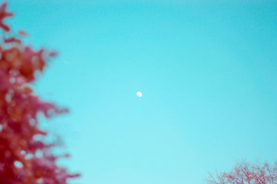 Low angle view of moon against clear blue sky