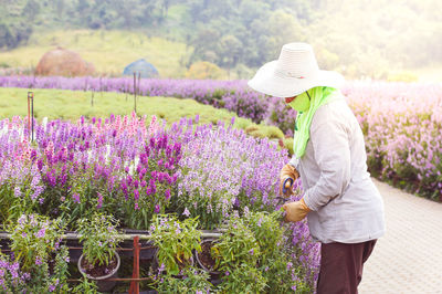 Rear view of woman standing on field by purple flowering plants