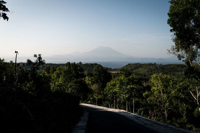 Road amidst trees against sky