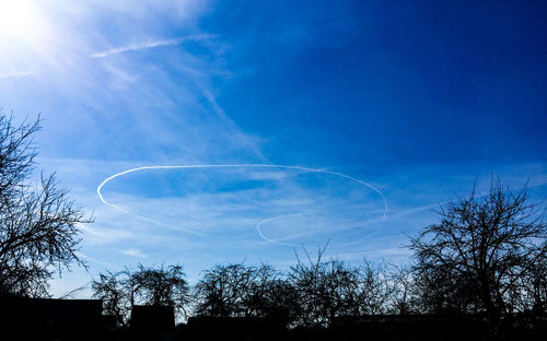 Low angle view of silhouette trees against blue sky