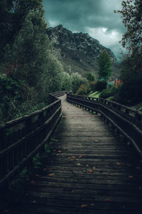 Boardwalk amidst trees in forest against sky