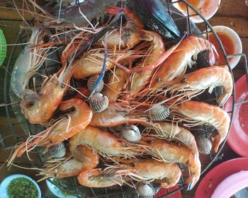 High angle view of carrots