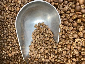 High angle view of coffee beans in container