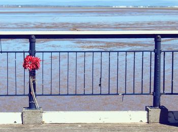 Red flower on railing by sea against sky