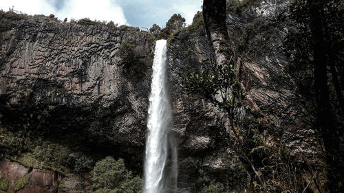 Low angle view of waterfall in forest