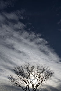 Low angle view of bare tree against dramatic sky