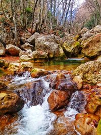River flowing through rocks in forest