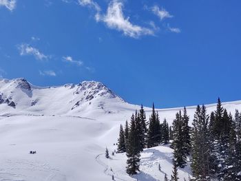 Avalanche lines and ski trails, colorado snow
