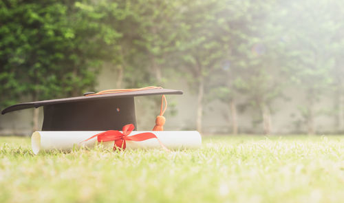 Close-up of mortarboard and diploma on grassy field