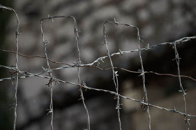 Close up of barbed wire
