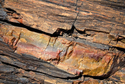 Full frame shot of log at petrified forest national park