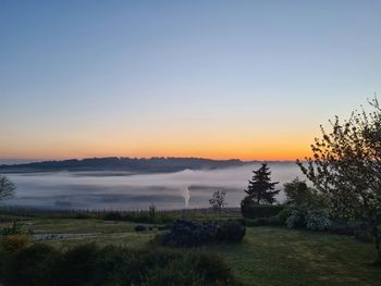 Scenic view of field against sky during sunset